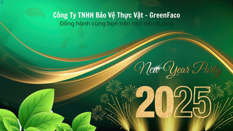 top backdrop tiệc tân niên đẹp nhất